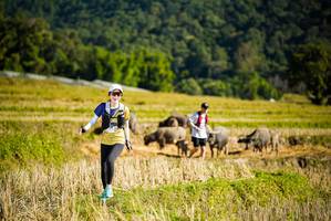 BIB: 
                            <button type="button" onclick="openModal(19127918)" class="btn btn-primary btn-sm float-right btn-popup" data-toggle="modal" data-target=".modal-high-quality">
                        <i class="fas fa-shopping-cart"></i> Add to Cart
                    </button>
                                            <button type="button" onclick="isThisMe(19127918, true)" class="btn btn-success btn-sm float-right btn-popup btn-isme hidden" data-toggle="tooltip" data-placement="bottom" title="นี่คือรูปของคุณใช่ไหม คลิกที่นี่เพื่อเอาเข้าอัลบั้ม">
                        <i class="fas fa-plus"></i> Add to album
                    </button>
                    <button type="button" onclick="isThisMe(19127918, false)" class="btn btn-warning btn-sm float-right btn-popup btn-isnotme hidden">
                        <i class="fas fa-ban"></i> Remove from album
                    </button>