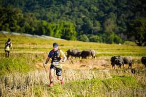 BIB: 110
                            <button type="button" onclick="openModal(19127872)" class="btn btn-primary btn-sm float-right btn-popup" data-toggle="modal" data-target=".modal-high-quality">
                        <i class="fas fa-shopping-cart"></i> Add to Cart
                    </button>
                                            <button type="button" onclick="isThisMe(19127872, true)" class="btn btn-success btn-sm float-right btn-popup btn-isme hidden" data-toggle="tooltip" data-placement="bottom" title="นี่คือรูปของคุณใช่ไหม คลิกที่นี่เพื่อเอาเข้าอัลบั้ม">
                        <i class="fas fa-plus"></i> Add to album
                    </button>
                    <button type="button" onclick="isThisMe(19127872, false)" class="btn btn-warning btn-sm float-right btn-popup btn-isnotme hidden">
                        <i class="fas fa-ban"></i> Remove from album
                    </button>