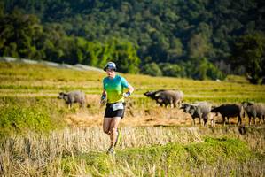 BIB: 
                            <button type="button" onclick="openModal(19127565)" class="btn btn-primary btn-sm float-right btn-popup" data-toggle="modal" data-target=".modal-high-quality">
                        <i class="fas fa-shopping-cart"></i> Add to Cart
                    </button>
                                            <button type="button" onclick="isThisMe(19127565, true)" class="btn btn-success btn-sm float-right btn-popup btn-isme hidden" data-toggle="tooltip" data-placement="bottom" title="นี่คือรูปของคุณใช่ไหม คลิกที่นี่เพื่อเอาเข้าอัลบั้ม">
                        <i class="fas fa-plus"></i> Add to album
                    </button>
                    <button type="button" onclick="isThisMe(19127565, false)" class="btn btn-warning btn-sm float-right btn-popup btn-isnotme hidden">
                        <i class="fas fa-ban"></i> Remove from album
                    </button>