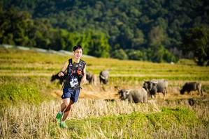 BIB: 
                            <button type="button" onclick="openModal(19127512)" class="btn btn-primary btn-sm float-right btn-popup" data-toggle="modal" data-target=".modal-high-quality">
                        <i class="fas fa-shopping-cart"></i> Add to Cart
                    </button>
                                            <button type="button" onclick="isThisMe(19127512, true)" class="btn btn-success btn-sm float-right btn-popup btn-isme hidden" data-toggle="tooltip" data-placement="bottom" title="นี่คือรูปของคุณใช่ไหม คลิกที่นี่เพื่อเอาเข้าอัลบั้ม">
                        <i class="fas fa-plus"></i> Add to album
                    </button>
                    <button type="button" onclick="isThisMe(19127512, false)" class="btn btn-warning btn-sm float-right btn-popup btn-isnotme hidden">
                        <i class="fas fa-ban"></i> Remove from album
                    </button>