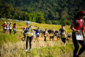 BIB: 1537
                            <button type="button" onclick="openModal(19128142)" class="btn btn-primary btn-sm float-right btn-popup" data-toggle="modal" data-target=".modal-high-quality">
                        <i class="fas fa-shopping-cart"></i> Add to Cart
                    </button>
                                            <button type="button" onclick="isThisMe(19128142, true)" class="btn btn-success btn-sm float-right btn-popup btn-isme hidden" data-toggle="tooltip" data-placement="bottom" title="นี่คือรูปของคุณใช่ไหม คลิกที่นี่เพื่อเอาเข้าอัลบั้ม">
                        <i class="fas fa-plus"></i> Add to album
                    </button>
                    <button type="button" onclick="isThisMe(19128142, false)" class="btn btn-warning btn-sm float-right btn-popup btn-isnotme hidden">
                        <i class="fas fa-ban"></i> Remove from album
                    </button>