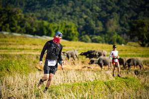 BIB: 
                            <button type="button" onclick="openModal(19127656)" class="btn btn-primary btn-sm float-right btn-popup" data-toggle="modal" data-target=".modal-high-quality">
                        <i class="fas fa-shopping-cart"></i> Add to Cart
                    </button>
                                            <button type="button" onclick="isThisMe(19127656, true)" class="btn btn-success btn-sm float-right btn-popup btn-isme hidden" data-toggle="tooltip" data-placement="bottom" title="นี่คือรูปของคุณใช่ไหม คลิกที่นี่เพื่อเอาเข้าอัลบั้ม">
                        <i class="fas fa-plus"></i> Add to album
                    </button>
                    <button type="button" onclick="isThisMe(19127656, false)" class="btn btn-warning btn-sm float-right btn-popup btn-isnotme hidden">
                        <i class="fas fa-ban"></i> Remove from album
                    </button>