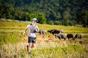 BIB: 364
                            <button type="button" onclick="openModal(19127677)" class="btn btn-primary btn-sm float-right btn-popup" data-toggle="modal" data-target=".modal-high-quality">
                        <i class="fas fa-shopping-cart"></i> Add to Cart
                    </button>
                                            <button type="button" onclick="isThisMe(19127677, true)" class="btn btn-success btn-sm float-right btn-popup btn-isme hidden" data-toggle="tooltip" data-placement="bottom" title="นี่คือรูปของคุณใช่ไหม คลิกที่นี่เพื่อเอาเข้าอัลบั้ม">
                        <i class="fas fa-plus"></i> Add to album
                    </button>
                    <button type="button" onclick="isThisMe(19127677, false)" class="btn btn-warning btn-sm float-right btn-popup btn-isnotme hidden">
                        <i class="fas fa-ban"></i> Remove from album
                    </button>