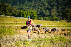 BIB: 
                            <button type="button" onclick="openModal(19127939)" class="btn btn-primary btn-sm float-right btn-popup" data-toggle="modal" data-target=".modal-high-quality">
                        <i class="fas fa-shopping-cart"></i> Add to Cart
                    </button>
                                            <button type="button" onclick="isThisMe(19127939, true)" class="btn btn-success btn-sm float-right btn-popup btn-isme hidden" data-toggle="tooltip" data-placement="bottom" title="นี่คือรูปของคุณใช่ไหม คลิกที่นี่เพื่อเอาเข้าอัลบั้ม">
                        <i class="fas fa-plus"></i> Add to album
                    </button>
                    <button type="button" onclick="isThisMe(19127939, false)" class="btn btn-warning btn-sm float-right btn-popup btn-isnotme hidden">
                        <i class="fas fa-ban"></i> Remove from album
                    </button>