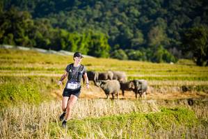 BIB: 
                            <button type="button" onclick="openModal(19127412)" class="btn btn-primary btn-sm float-right btn-popup" data-toggle="modal" data-target=".modal-high-quality">
                        <i class="fas fa-shopping-cart"></i> Add to Cart
                    </button>
                                            <button type="button" onclick="isThisMe(19127412, true)" class="btn btn-success btn-sm float-right btn-popup btn-isme hidden" data-toggle="tooltip" data-placement="bottom" title="นี่คือรูปของคุณใช่ไหม คลิกที่นี่เพื่อเอาเข้าอัลบั้ม">
                        <i class="fas fa-plus"></i> Add to album
                    </button>
                    <button type="button" onclick="isThisMe(19127412, false)" class="btn btn-warning btn-sm float-right btn-popup btn-isnotme hidden">
                        <i class="fas fa-ban"></i> Remove from album
                    </button>