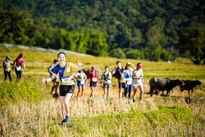 BIB: 1532, 
                            <button type="button" onclick="openModal(19128100)" class="btn btn-primary btn-sm float-right btn-popup" data-toggle="modal" data-target=".modal-high-quality">
                        <i class="fas fa-shopping-cart"></i> Add to Cart
                    </button>
                                            <button type="button" onclick="isThisMe(19128100, true)" class="btn btn-success btn-sm float-right btn-popup btn-isme hidden" data-toggle="tooltip" data-placement="bottom" title="นี่คือรูปของคุณใช่ไหม คลิกที่นี่เพื่อเอาเข้าอัลบั้ม">
                        <i class="fas fa-plus"></i> Add to album
                    </button>
                    <button type="button" onclick="isThisMe(19128100, false)" class="btn btn-warning btn-sm float-right btn-popup btn-isnotme hidden">
                        <i class="fas fa-ban"></i> Remove from album
                    </button>