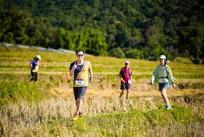 BIB: 
                            <button type="button" onclick="openModal(19129378)" class="btn btn-primary btn-sm float-right btn-popup" data-toggle="modal" data-target=".modal-high-quality">
                        <i class="fas fa-shopping-cart"></i> Add to Cart
                    </button>
                                            <button type="button" onclick="isThisMe(19129378, true)" class="btn btn-success btn-sm float-right btn-popup btn-isme hidden" data-toggle="tooltip" data-placement="bottom" title="นี่คือรูปของคุณใช่ไหม คลิกที่นี่เพื่อเอาเข้าอัลบั้ม">
                        <i class="fas fa-plus"></i> Add to album
                    </button>
                    <button type="button" onclick="isThisMe(19129378, false)" class="btn btn-warning btn-sm float-right btn-popup btn-isnotme hidden">
                        <i class="fas fa-ban"></i> Remove from album
                    </button>