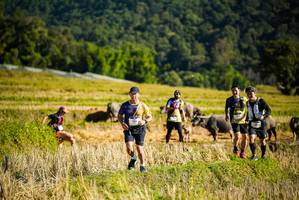 BIB: 
                            <button type="button" onclick="openModal(19127884)" class="btn btn-primary btn-sm float-right btn-popup" data-toggle="modal" data-target=".modal-high-quality">
                        <i class="fas fa-shopping-cart"></i> Add to Cart
                    </button>
                                            <button type="button" onclick="isThisMe(19127884, true)" class="btn btn-success btn-sm float-right btn-popup btn-isme hidden" data-toggle="tooltip" data-placement="bottom" title="นี่คือรูปของคุณใช่ไหม คลิกที่นี่เพื่อเอาเข้าอัลบั้ม">
                        <i class="fas fa-plus"></i> Add to album
                    </button>
                    <button type="button" onclick="isThisMe(19127884, false)" class="btn btn-warning btn-sm float-right btn-popup btn-isnotme hidden">
                        <i class="fas fa-ban"></i> Remove from album
                    </button>