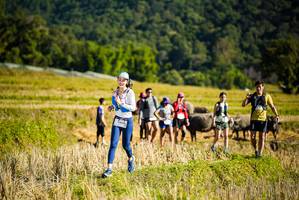 BIB: 900
                            <button type="button" onclick="openModal(19128101)" class="btn btn-primary btn-sm float-right btn-popup" data-toggle="modal" data-target=".modal-high-quality">
                        <i class="fas fa-shopping-cart"></i> Add to Cart
                    </button>
                                            <button type="button" onclick="isThisMe(19128101, true)" class="btn btn-success btn-sm float-right btn-popup btn-isme hidden" data-toggle="tooltip" data-placement="bottom" title="นี่คือรูปของคุณใช่ไหม คลิกที่นี่เพื่อเอาเข้าอัลบั้ม">
                        <i class="fas fa-plus"></i> Add to album
                    </button>
                    <button type="button" onclick="isThisMe(19128101, false)" class="btn btn-warning btn-sm float-right btn-popup btn-isnotme hidden">
                        <i class="fas fa-ban"></i> Remove from album
                    </button>