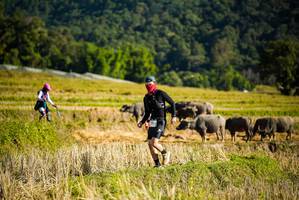 BIB: 
                            <button type="button" onclick="openModal(19127655)" class="btn btn-primary btn-sm float-right btn-popup" data-toggle="modal" data-target=".modal-high-quality">
                        <i class="fas fa-shopping-cart"></i> Add to Cart
                    </button>
                                            <button type="button" onclick="isThisMe(19127655, true)" class="btn btn-success btn-sm float-right btn-popup btn-isme hidden" data-toggle="tooltip" data-placement="bottom" title="นี่คือรูปของคุณใช่ไหม คลิกที่นี่เพื่อเอาเข้าอัลบั้ม">
                        <i class="fas fa-plus"></i> Add to album
                    </button>
                    <button type="button" onclick="isThisMe(19127655, false)" class="btn btn-warning btn-sm float-right btn-popup btn-isnotme hidden">
                        <i class="fas fa-ban"></i> Remove from album
                    </button>