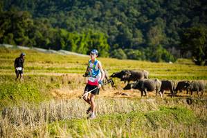 BIB: 
                            <button type="button" onclick="openModal(19127649)" class="btn btn-primary btn-sm float-right btn-popup" data-toggle="modal" data-target=".modal-high-quality">
                        <i class="fas fa-shopping-cart"></i> Add to Cart
                    </button>
                                            <button type="button" onclick="isThisMe(19127649, true)" class="btn btn-success btn-sm float-right btn-popup btn-isme hidden" data-toggle="tooltip" data-placement="bottom" title="นี่คือรูปของคุณใช่ไหม คลิกที่นี่เพื่อเอาเข้าอัลบั้ม">
                        <i class="fas fa-plus"></i> Add to album
                    </button>
                    <button type="button" onclick="isThisMe(19127649, false)" class="btn btn-warning btn-sm float-right btn-popup btn-isnotme hidden">
                        <i class="fas fa-ban"></i> Remove from album
                    </button>