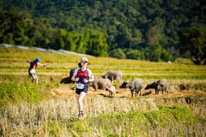 BIB: 
                            <button type="button" onclick="openModal(19127931)" class="btn btn-primary btn-sm float-right btn-popup" data-toggle="modal" data-target=".modal-high-quality">
                        <i class="fas fa-shopping-cart"></i> Add to Cart
                    </button>
                                            <button type="button" onclick="isThisMe(19127931, true)" class="btn btn-success btn-sm float-right btn-popup btn-isme hidden" data-toggle="tooltip" data-placement="bottom" title="นี่คือรูปของคุณใช่ไหม คลิกที่นี่เพื่อเอาเข้าอัลบั้ม">
                        <i class="fas fa-plus"></i> Add to album
                    </button>
                    <button type="button" onclick="isThisMe(19127931, false)" class="btn btn-warning btn-sm float-right btn-popup btn-isnotme hidden">
                        <i class="fas fa-ban"></i> Remove from album
                    </button>