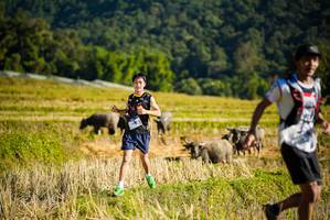 BIB: 
                            <button type="button" onclick="openModal(19127508)" class="btn btn-primary btn-sm float-right btn-popup" data-toggle="modal" data-target=".modal-high-quality">
                        <i class="fas fa-shopping-cart"></i> Add to Cart
                    </button>
                                            <button type="button" onclick="isThisMe(19127508, true)" class="btn btn-success btn-sm float-right btn-popup btn-isme hidden" data-toggle="tooltip" data-placement="bottom" title="นี่คือรูปของคุณใช่ไหม คลิกที่นี่เพื่อเอาเข้าอัลบั้ม">
                        <i class="fas fa-plus"></i> Add to album
                    </button>
                    <button type="button" onclick="isThisMe(19127508, false)" class="btn btn-warning btn-sm float-right btn-popup btn-isnotme hidden">
                        <i class="fas fa-ban"></i> Remove from album
                    </button>