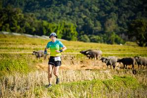 BIB: 
                            <button type="button" onclick="openModal(19127569)" class="btn btn-primary btn-sm float-right btn-popup" data-toggle="modal" data-target=".modal-high-quality">
                        <i class="fas fa-shopping-cart"></i> Add to Cart
                    </button>
                                            <button type="button" onclick="isThisMe(19127569, true)" class="btn btn-success btn-sm float-right btn-popup btn-isme hidden" data-toggle="tooltip" data-placement="bottom" title="นี่คือรูปของคุณใช่ไหม คลิกที่นี่เพื่อเอาเข้าอัลบั้ม">
                        <i class="fas fa-plus"></i> Add to album
                    </button>
                    <button type="button" onclick="isThisMe(19127569, false)" class="btn btn-warning btn-sm float-right btn-popup btn-isnotme hidden">
                        <i class="fas fa-ban"></i> Remove from album
                    </button>