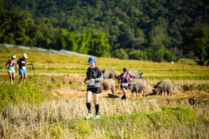 BIB: 
                            <button type="button" onclick="openModal(19128039)" class="btn btn-primary btn-sm float-right btn-popup" data-toggle="modal" data-target=".modal-high-quality">
                        <i class="fas fa-shopping-cart"></i> Add to Cart
                    </button>
                                            <button type="button" onclick="isThisMe(19128039, true)" class="btn btn-success btn-sm float-right btn-popup btn-isme hidden" data-toggle="tooltip" data-placement="bottom" title="นี่คือรูปของคุณใช่ไหม คลิกที่นี่เพื่อเอาเข้าอัลบั้ม">
                        <i class="fas fa-plus"></i> Add to album
                    </button>
                    <button type="button" onclick="isThisMe(19128039, false)" class="btn btn-warning btn-sm float-right btn-popup btn-isnotme hidden">
                        <i class="fas fa-ban"></i> Remove from album
                    </button>