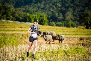 BIB: 901
                            <button type="button" onclick="openModal(19127415)" class="btn btn-primary btn-sm float-right btn-popup" data-toggle="modal" data-target=".modal-high-quality">
                        <i class="fas fa-shopping-cart"></i> Add to Cart
                    </button>
                                            <button type="button" onclick="isThisMe(19127415, true)" class="btn btn-success btn-sm float-right btn-popup btn-isme hidden" data-toggle="tooltip" data-placement="bottom" title="นี่คือรูปของคุณใช่ไหม คลิกที่นี่เพื่อเอาเข้าอัลบั้ม">
                        <i class="fas fa-plus"></i> Add to album
                    </button>
                    <button type="button" onclick="isThisMe(19127415, false)" class="btn btn-warning btn-sm float-right btn-popup btn-isnotme hidden">
                        <i class="fas fa-ban"></i> Remove from album
                    </button>