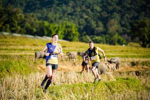 BIB: 1516
                            <button type="button" onclick="openModal(19127482)" class="btn btn-primary btn-sm float-right btn-popup" data-toggle="modal" data-target=".modal-high-quality">
                        <i class="fas fa-shopping-cart"></i> Add to Cart
                    </button>
                                            <button type="button" onclick="isThisMe(19127482, true)" class="btn btn-success btn-sm float-right btn-popup btn-isme hidden" data-toggle="tooltip" data-placement="bottom" title="นี่คือรูปของคุณใช่ไหม คลิกที่นี่เพื่อเอาเข้าอัลบั้ม">
                        <i class="fas fa-plus"></i> Add to album
                    </button>
                    <button type="button" onclick="isThisMe(19127482, false)" class="btn btn-warning btn-sm float-right btn-popup btn-isnotme hidden">
                        <i class="fas fa-ban"></i> Remove from album
                    </button>