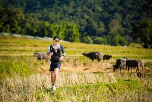 BIB: 
                            <button type="button" onclick="openModal(19127559)" class="btn btn-primary btn-sm float-right btn-popup" data-toggle="modal" data-target=".modal-high-quality">
                        <i class="fas fa-shopping-cart"></i> Add to Cart
                    </button>
                                            <button type="button" onclick="isThisMe(19127559, true)" class="btn btn-success btn-sm float-right btn-popup btn-isme hidden" data-toggle="tooltip" data-placement="bottom" title="นี่คือรูปของคุณใช่ไหม คลิกที่นี่เพื่อเอาเข้าอัลบั้ม">
                        <i class="fas fa-plus"></i> Add to album
                    </button>
                    <button type="button" onclick="isThisMe(19127559, false)" class="btn btn-warning btn-sm float-right btn-popup btn-isnotme hidden">
                        <i class="fas fa-ban"></i> Remove from album
                    </button>