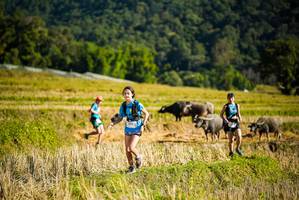 BIB: 
                            <button type="button" onclick="openModal(19127805)" class="btn btn-primary btn-sm float-right btn-popup" data-toggle="modal" data-target=".modal-high-quality">
                        <i class="fas fa-shopping-cart"></i> Add to Cart
                    </button>
                                            <button type="button" onclick="isThisMe(19127805, true)" class="btn btn-success btn-sm float-right btn-popup btn-isme hidden" data-toggle="tooltip" data-placement="bottom" title="นี่คือรูปของคุณใช่ไหม คลิกที่นี่เพื่อเอาเข้าอัลบั้ม">
                        <i class="fas fa-plus"></i> Add to album
                    </button>
                    <button type="button" onclick="isThisMe(19127805, false)" class="btn btn-warning btn-sm float-right btn-popup btn-isnotme hidden">
                        <i class="fas fa-ban"></i> Remove from album
                    </button>