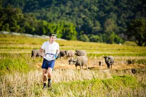 BIB: 
                            <button type="button" onclick="openModal(19127462)" class="btn btn-primary btn-sm float-right btn-popup" data-toggle="modal" data-target=".modal-high-quality">
                        <i class="fas fa-shopping-cart"></i> Add to Cart
                    </button>
                                            <button type="button" onclick="isThisMe(19127462, true)" class="btn btn-success btn-sm float-right btn-popup btn-isme hidden" data-toggle="tooltip" data-placement="bottom" title="นี่คือรูปของคุณใช่ไหม คลิกที่นี่เพื่อเอาเข้าอัลบั้ม">
                        <i class="fas fa-plus"></i> Add to album
                    </button>
                    <button type="button" onclick="isThisMe(19127462, false)" class="btn btn-warning btn-sm float-right btn-popup btn-isnotme hidden">
                        <i class="fas fa-ban"></i> Remove from album
                    </button>