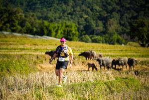 BIB: 
                            <button type="button" onclick="openModal(19128233)" class="btn btn-primary btn-sm float-right btn-popup" data-toggle="modal" data-target=".modal-high-quality">
                        <i class="fas fa-shopping-cart"></i> Add to Cart
                    </button>
                                            <button type="button" onclick="isThisMe(19128233, true)" class="btn btn-success btn-sm float-right btn-popup btn-isme hidden" data-toggle="tooltip" data-placement="bottom" title="นี่คือรูปของคุณใช่ไหม คลิกที่นี่เพื่อเอาเข้าอัลบั้ม">
                        <i class="fas fa-plus"></i> Add to album
                    </button>
                    <button type="button" onclick="isThisMe(19128233, false)" class="btn btn-warning btn-sm float-right btn-popup btn-isnotme hidden">
                        <i class="fas fa-ban"></i> Remove from album
                    </button>