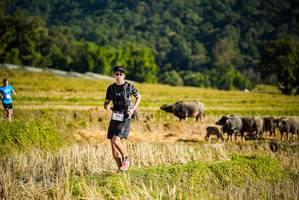 BIB: 491, 
                            <button type="button" onclick="openModal(19127631)" class="btn btn-primary btn-sm float-right btn-popup" data-toggle="modal" data-target=".modal-high-quality">
                        <i class="fas fa-shopping-cart"></i> Add to Cart
                    </button>
                                            <button type="button" onclick="isThisMe(19127631, true)" class="btn btn-success btn-sm float-right btn-popup btn-isme hidden" data-toggle="tooltip" data-placement="bottom" title="นี่คือรูปของคุณใช่ไหม คลิกที่นี่เพื่อเอาเข้าอัลบั้ม">
                        <i class="fas fa-plus"></i> Add to album
                    </button>
                    <button type="button" onclick="isThisMe(19127631, false)" class="btn btn-warning btn-sm float-right btn-popup btn-isnotme hidden">
                        <i class="fas fa-ban"></i> Remove from album
                    </button>