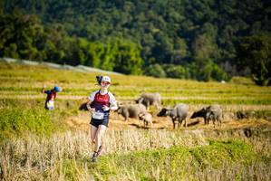 BIB: 1433
                            <button type="button" onclick="openModal(19127932)" class="btn btn-primary btn-sm float-right btn-popup" data-toggle="modal" data-target=".modal-high-quality">
                        <i class="fas fa-shopping-cart"></i> Add to Cart
                    </button>
                                            <button type="button" onclick="isThisMe(19127932, true)" class="btn btn-success btn-sm float-right btn-popup btn-isme hidden" data-toggle="tooltip" data-placement="bottom" title="นี่คือรูปของคุณใช่ไหม คลิกที่นี่เพื่อเอาเข้าอัลบั้ม">
                        <i class="fas fa-plus"></i> Add to album
                    </button>
                    <button type="button" onclick="isThisMe(19127932, false)" class="btn btn-warning btn-sm float-right btn-popup btn-isnotme hidden">
                        <i class="fas fa-ban"></i> Remove from album
                    </button>