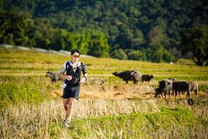 BIB: 
                            <button type="button" onclick="openModal(19127560)" class="btn btn-primary btn-sm float-right btn-popup" data-toggle="modal" data-target=".modal-high-quality">
                        <i class="fas fa-shopping-cart"></i> Add to Cart
                    </button>
                                            <button type="button" onclick="isThisMe(19127560, true)" class="btn btn-success btn-sm float-right btn-popup btn-isme hidden" data-toggle="tooltip" data-placement="bottom" title="นี่คือรูปของคุณใช่ไหม คลิกที่นี่เพื่อเอาเข้าอัลบั้ม">
                        <i class="fas fa-plus"></i> Add to album
                    </button>
                    <button type="button" onclick="isThisMe(19127560, false)" class="btn btn-warning btn-sm float-right btn-popup btn-isnotme hidden">
                        <i class="fas fa-ban"></i> Remove from album
                    </button>