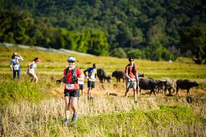 BIB: 
                            <button type="button" onclick="openModal(19128077)" class="btn btn-primary btn-sm float-right btn-popup" data-toggle="modal" data-target=".modal-high-quality">
                        <i class="fas fa-shopping-cart"></i> Add to Cart
                    </button>
                                            <button type="button" onclick="isThisMe(19128077, true)" class="btn btn-success btn-sm float-right btn-popup btn-isme hidden" data-toggle="tooltip" data-placement="bottom" title="นี่คือรูปของคุณใช่ไหม คลิกที่นี่เพื่อเอาเข้าอัลบั้ม">
                        <i class="fas fa-plus"></i> Add to album
                    </button>
                    <button type="button" onclick="isThisMe(19128077, false)" class="btn btn-warning btn-sm float-right btn-popup btn-isnotme hidden">
                        <i class="fas fa-ban"></i> Remove from album
                    </button>