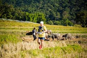 BIB: 
                            <button type="button" onclick="openModal(19127969)" class="btn btn-primary btn-sm float-right btn-popup" data-toggle="modal" data-target=".modal-high-quality">
                        <i class="fas fa-shopping-cart"></i> Add to Cart
                    </button>
                                            <button type="button" onclick="isThisMe(19127969, true)" class="btn btn-success btn-sm float-right btn-popup btn-isme hidden" data-toggle="tooltip" data-placement="bottom" title="นี่คือรูปของคุณใช่ไหม คลิกที่นี่เพื่อเอาเข้าอัลบั้ม">
                        <i class="fas fa-plus"></i> Add to album
                    </button>
                    <button type="button" onclick="isThisMe(19127969, false)" class="btn btn-warning btn-sm float-right btn-popup btn-isnotme hidden">
                        <i class="fas fa-ban"></i> Remove from album
                    </button>