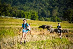 BIB: 
                            <button type="button" onclick="openModal(19127806)" class="btn btn-primary btn-sm float-right btn-popup" data-toggle="modal" data-target=".modal-high-quality">
                        <i class="fas fa-shopping-cart"></i> Add to Cart
                    </button>
                                            <button type="button" onclick="isThisMe(19127806, true)" class="btn btn-success btn-sm float-right btn-popup btn-isme hidden" data-toggle="tooltip" data-placement="bottom" title="นี่คือรูปของคุณใช่ไหม คลิกที่นี่เพื่อเอาเข้าอัลบั้ม">
                        <i class="fas fa-plus"></i> Add to album
                    </button>
                    <button type="button" onclick="isThisMe(19127806, false)" class="btn btn-warning btn-sm float-right btn-popup btn-isnotme hidden">
                        <i class="fas fa-ban"></i> Remove from album
                    </button>