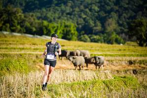 BIB: 106
                            <button type="button" onclick="openModal(19127413)" class="btn btn-primary btn-sm float-right btn-popup" data-toggle="modal" data-target=".modal-high-quality">
                        <i class="fas fa-shopping-cart"></i> Add to Cart
                    </button>
                                            <button type="button" onclick="isThisMe(19127413, true)" class="btn btn-success btn-sm float-right btn-popup btn-isme hidden" data-toggle="tooltip" data-placement="bottom" title="นี่คือรูปของคุณใช่ไหม คลิกที่นี่เพื่อเอาเข้าอัลบั้ม">
                        <i class="fas fa-plus"></i> Add to album
                    </button>
                    <button type="button" onclick="isThisMe(19127413, false)" class="btn btn-warning btn-sm float-right btn-popup btn-isnotme hidden">
                        <i class="fas fa-ban"></i> Remove from album
                    </button>