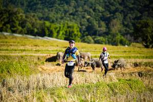 BIB: 1043
                            <button type="button" onclick="openModal(19127952)" class="btn btn-primary btn-sm float-right btn-popup" data-toggle="modal" data-target=".modal-high-quality">
                        <i class="fas fa-shopping-cart"></i> Add to Cart
                    </button>
                                            <button type="button" onclick="isThisMe(19127952, true)" class="btn btn-success btn-sm float-right btn-popup btn-isme hidden" data-toggle="tooltip" data-placement="bottom" title="นี่คือรูปของคุณใช่ไหม คลิกที่นี่เพื่อเอาเข้าอัลบั้ม">
                        <i class="fas fa-plus"></i> Add to album
                    </button>
                    <button type="button" onclick="isThisMe(19127952, false)" class="btn btn-warning btn-sm float-right btn-popup btn-isnotme hidden">
                        <i class="fas fa-ban"></i> Remove from album
                    </button>