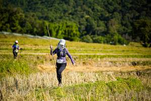 BIB: 
                            <button type="button" onclick="openModal(19129993)" class="btn btn-primary btn-sm float-right btn-popup" data-toggle="modal" data-target=".modal-high-quality">
                        <i class="fas fa-shopping-cart"></i> Add to Cart
                    </button>
                                            <button type="button" onclick="isThisMe(19129993, true)" class="btn btn-success btn-sm float-right btn-popup btn-isme hidden" data-toggle="tooltip" data-placement="bottom" title="นี่คือรูปของคุณใช่ไหม คลิกที่นี่เพื่อเอาเข้าอัลบั้ม">
                        <i class="fas fa-plus"></i> Add to album
                    </button>
                    <button type="button" onclick="isThisMe(19129993, false)" class="btn btn-warning btn-sm float-right btn-popup btn-isnotme hidden">
                        <i class="fas fa-ban"></i> Remove from album
                    </button>