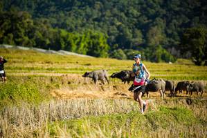 BIB: 
                            <button type="button" onclick="openModal(19127643)" class="btn btn-primary btn-sm float-right btn-popup" data-toggle="modal" data-target=".modal-high-quality">
                        <i class="fas fa-shopping-cart"></i> Add to Cart
                    </button>
                                            <button type="button" onclick="isThisMe(19127643, true)" class="btn btn-success btn-sm float-right btn-popup btn-isme hidden" data-toggle="tooltip" data-placement="bottom" title="นี่คือรูปของคุณใช่ไหม คลิกที่นี่เพื่อเอาเข้าอัลบั้ม">
                        <i class="fas fa-plus"></i> Add to album
                    </button>
                    <button type="button" onclick="isThisMe(19127643, false)" class="btn btn-warning btn-sm float-right btn-popup btn-isnotme hidden">
                        <i class="fas fa-ban"></i> Remove from album
                    </button>