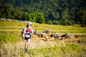 BIB: 
                            <button type="button" onclick="openModal(19127935)" class="btn btn-primary btn-sm float-right btn-popup" data-toggle="modal" data-target=".modal-high-quality">
                        <i class="fas fa-shopping-cart"></i> Add to Cart
                    </button>
                                            <button type="button" onclick="isThisMe(19127935, true)" class="btn btn-success btn-sm float-right btn-popup btn-isme hidden" data-toggle="tooltip" data-placement="bottom" title="นี่คือรูปของคุณใช่ไหม คลิกที่นี่เพื่อเอาเข้าอัลบั้ม">
                        <i class="fas fa-plus"></i> Add to album
                    </button>
                    <button type="button" onclick="isThisMe(19127935, false)" class="btn btn-warning btn-sm float-right btn-popup btn-isnotme hidden">
                        <i class="fas fa-ban"></i> Remove from album
                    </button>