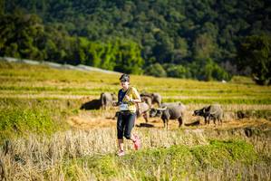 BIB: 
                            <button type="button" onclick="openModal(19127983)" class="btn btn-primary btn-sm float-right btn-popup" data-toggle="modal" data-target=".modal-high-quality">
                        <i class="fas fa-shopping-cart"></i> Add to Cart
                    </button>
                                            <button type="button" onclick="isThisMe(19127983, true)" class="btn btn-success btn-sm float-right btn-popup btn-isme hidden" data-toggle="tooltip" data-placement="bottom" title="นี่คือรูปของคุณใช่ไหม คลิกที่นี่เพื่อเอาเข้าอัลบั้ม">
                        <i class="fas fa-plus"></i> Add to album
                    </button>
                    <button type="button" onclick="isThisMe(19127983, false)" class="btn btn-warning btn-sm float-right btn-popup btn-isnotme hidden">
                        <i class="fas fa-ban"></i> Remove from album
                    </button>