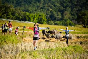 BIB: 
                            <button type="button" onclick="openModal(19128061)" class="btn btn-primary btn-sm float-right btn-popup" data-toggle="modal" data-target=".modal-high-quality">
                        <i class="fas fa-shopping-cart"></i> Add to Cart
                    </button>
                                            <button type="button" onclick="isThisMe(19128061, true)" class="btn btn-success btn-sm float-right btn-popup btn-isme hidden" data-toggle="tooltip" data-placement="bottom" title="นี่คือรูปของคุณใช่ไหม คลิกที่นี่เพื่อเอาเข้าอัลบั้ม">
                        <i class="fas fa-plus"></i> Add to album
                    </button>
                    <button type="button" onclick="isThisMe(19128061, false)" class="btn btn-warning btn-sm float-right btn-popup btn-isnotme hidden">
                        <i class="fas fa-ban"></i> Remove from album
                    </button>