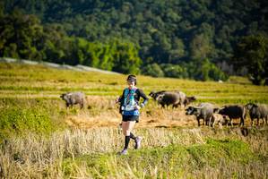 BIB: 
                            <button type="button" onclick="openModal(19127592)" class="btn btn-primary btn-sm float-right btn-popup" data-toggle="modal" data-target=".modal-high-quality">
                        <i class="fas fa-shopping-cart"></i> Add to Cart
                    </button>
                                            <button type="button" onclick="isThisMe(19127592, true)" class="btn btn-success btn-sm float-right btn-popup btn-isme hidden" data-toggle="tooltip" data-placement="bottom" title="นี่คือรูปของคุณใช่ไหม คลิกที่นี่เพื่อเอาเข้าอัลบั้ม">
                        <i class="fas fa-plus"></i> Add to album
                    </button>
                    <button type="button" onclick="isThisMe(19127592, false)" class="btn btn-warning btn-sm float-right btn-popup btn-isnotme hidden">
                        <i class="fas fa-ban"></i> Remove from album
                    </button>