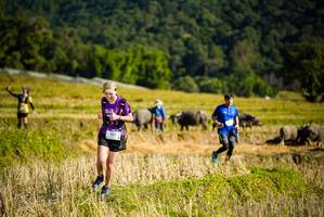 BIB: 1421
                            <button type="button" onclick="openModal(19128348)" class="btn btn-primary btn-sm float-right btn-popup" data-toggle="modal" data-target=".modal-high-quality">
                        <i class="fas fa-shopping-cart"></i> Add to Cart
                    </button>
                                            <button type="button" onclick="isThisMe(19128348, true)" class="btn btn-success btn-sm float-right btn-popup btn-isme hidden" data-toggle="tooltip" data-placement="bottom" title="นี่คือรูปของคุณใช่ไหม คลิกที่นี่เพื่อเอาเข้าอัลบั้ม">
                        <i class="fas fa-plus"></i> Add to album
                    </button>
                    <button type="button" onclick="isThisMe(19128348, false)" class="btn btn-warning btn-sm float-right btn-popup btn-isnotme hidden">
                        <i class="fas fa-ban"></i> Remove from album
                    </button>