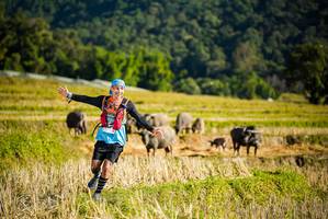 BIB: 
                            <button type="button" onclick="openModal(19127455)" class="btn btn-primary btn-sm float-right btn-popup" data-toggle="modal" data-target=".modal-high-quality">
                        <i class="fas fa-shopping-cart"></i> Add to Cart
                    </button>
                                            <button type="button" onclick="isThisMe(19127455, true)" class="btn btn-success btn-sm float-right btn-popup btn-isme hidden" data-toggle="tooltip" data-placement="bottom" title="นี่คือรูปของคุณใช่ไหม คลิกที่นี่เพื่อเอาเข้าอัลบั้ม">
                        <i class="fas fa-plus"></i> Add to album
                    </button>
                    <button type="button" onclick="isThisMe(19127455, false)" class="btn btn-warning btn-sm float-right btn-popup btn-isnotme hidden">
                        <i class="fas fa-ban"></i> Remove from album
                    </button>