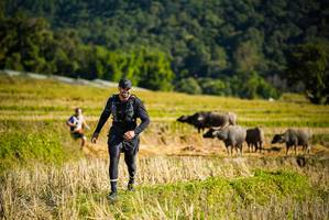 BIB: 
                            <button type="button" onclick="openModal(19127757)" class="btn btn-primary btn-sm float-right btn-popup" data-toggle="modal" data-target=".modal-high-quality">
                        <i class="fas fa-shopping-cart"></i> Add to Cart
                    </button>
                                            <button type="button" onclick="isThisMe(19127757, true)" class="btn btn-success btn-sm float-right btn-popup btn-isme hidden" data-toggle="tooltip" data-placement="bottom" title="นี่คือรูปของคุณใช่ไหม คลิกที่นี่เพื่อเอาเข้าอัลบั้ม">
                        <i class="fas fa-plus"></i> Add to album
                    </button>
                    <button type="button" onclick="isThisMe(19127757, false)" class="btn btn-warning btn-sm float-right btn-popup btn-isnotme hidden">
                        <i class="fas fa-ban"></i> Remove from album
                    </button>