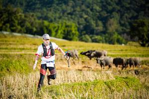 BIB: 
                            <button type="button" onclick="openModal(19127693)" class="btn btn-primary btn-sm float-right btn-popup" data-toggle="modal" data-target=".modal-high-quality">
                        <i class="fas fa-shopping-cart"></i> Add to Cart
                    </button>
                                            <button type="button" onclick="isThisMe(19127693, true)" class="btn btn-success btn-sm float-right btn-popup btn-isme hidden" data-toggle="tooltip" data-placement="bottom" title="นี่คือรูปของคุณใช่ไหม คลิกที่นี่เพื่อเอาเข้าอัลบั้ม">
                        <i class="fas fa-plus"></i> Add to album
                    </button>
                    <button type="button" onclick="isThisMe(19127693, false)" class="btn btn-warning btn-sm float-right btn-popup btn-isnotme hidden">
                        <i class="fas fa-ban"></i> Remove from album
                    </button>