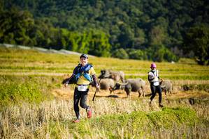 BIB: 1041
                            <button type="button" onclick="openModal(19127955)" class="btn btn-primary btn-sm float-right btn-popup" data-toggle="modal" data-target=".modal-high-quality">
                        <i class="fas fa-shopping-cart"></i> Add to Cart
                    </button>
                                            <button type="button" onclick="isThisMe(19127955, true)" class="btn btn-success btn-sm float-right btn-popup btn-isme hidden" data-toggle="tooltip" data-placement="bottom" title="นี่คือรูปของคุณใช่ไหม คลิกที่นี่เพื่อเอาเข้าอัลบั้ม">
                        <i class="fas fa-plus"></i> Add to album
                    </button>
                    <button type="button" onclick="isThisMe(19127955, false)" class="btn btn-warning btn-sm float-right btn-popup btn-isnotme hidden">
                        <i class="fas fa-ban"></i> Remove from album
                    </button>