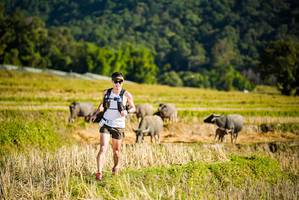 BIB: 
                            <button type="button" onclick="openModal(19127470)" class="btn btn-primary btn-sm float-right btn-popup" data-toggle="modal" data-target=".modal-high-quality">
                        <i class="fas fa-shopping-cart"></i> Add to Cart
                    </button>
                                            <button type="button" onclick="isThisMe(19127470, true)" class="btn btn-success btn-sm float-right btn-popup btn-isme hidden" data-toggle="tooltip" data-placement="bottom" title="นี่คือรูปของคุณใช่ไหม คลิกที่นี่เพื่อเอาเข้าอัลบั้ม">
                        <i class="fas fa-plus"></i> Add to album
                    </button>
                    <button type="button" onclick="isThisMe(19127470, false)" class="btn btn-warning btn-sm float-right btn-popup btn-isnotme hidden">
                        <i class="fas fa-ban"></i> Remove from album
                    </button>