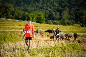 BIB: 1563
                            <button type="button" onclick="openModal(19128192)" class="btn btn-primary btn-sm float-right btn-popup" data-toggle="modal" data-target=".modal-high-quality">
                        <i class="fas fa-shopping-cart"></i> Add to Cart
                    </button>
                                            <button type="button" onclick="isThisMe(19128192, true)" class="btn btn-success btn-sm float-right btn-popup btn-isme hidden" data-toggle="tooltip" data-placement="bottom" title="นี่คือรูปของคุณใช่ไหม คลิกที่นี่เพื่อเอาเข้าอัลบั้ม">
                        <i class="fas fa-plus"></i> Add to album
                    </button>
                    <button type="button" onclick="isThisMe(19128192, false)" class="btn btn-warning btn-sm float-right btn-popup btn-isnotme hidden">
                        <i class="fas fa-ban"></i> Remove from album
                    </button>