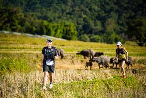 BIB: 5320
                            <button type="button" onclick="openModal(19128197)" class="btn btn-primary btn-sm float-right btn-popup" data-toggle="modal" data-target=".modal-high-quality">
                        <i class="fas fa-shopping-cart"></i> Add to Cart
                    </button>
                                            <button type="button" onclick="isThisMe(19128197, true)" class="btn btn-success btn-sm float-right btn-popup btn-isme hidden" data-toggle="tooltip" data-placement="bottom" title="นี่คือรูปของคุณใช่ไหม คลิกที่นี่เพื่อเอาเข้าอัลบั้ม">
                        <i class="fas fa-plus"></i> Add to album
                    </button>
                    <button type="button" onclick="isThisMe(19128197, false)" class="btn btn-warning btn-sm float-right btn-popup btn-isnotme hidden">
                        <i class="fas fa-ban"></i> Remove from album
                    </button>