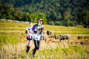 BIB: 1012
                            <button type="button" onclick="openModal(19127438)" class="btn btn-primary btn-sm float-right btn-popup" data-toggle="modal" data-target=".modal-high-quality">
                        <i class="fas fa-shopping-cart"></i> Add to Cart
                    </button>
                                            <button type="button" onclick="isThisMe(19127438, true)" class="btn btn-success btn-sm float-right btn-popup btn-isme hidden" data-toggle="tooltip" data-placement="bottom" title="นี่คือรูปของคุณใช่ไหม คลิกที่นี่เพื่อเอาเข้าอัลบั้ม">
                        <i class="fas fa-plus"></i> Add to album
                    </button>
                    <button type="button" onclick="isThisMe(19127438, false)" class="btn btn-warning btn-sm float-right btn-popup btn-isnotme hidden">
                        <i class="fas fa-ban"></i> Remove from album
                    </button>