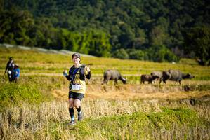 BIB: 1438
                            <button type="button" onclick="openModal(19128394)" class="btn btn-primary btn-sm float-right btn-popup" data-toggle="modal" data-target=".modal-high-quality">
                        <i class="fas fa-shopping-cart"></i> Add to Cart
                    </button>
                                            <button type="button" onclick="isThisMe(19128394, true)" class="btn btn-success btn-sm float-right btn-popup btn-isme hidden" data-toggle="tooltip" data-placement="bottom" title="นี่คือรูปของคุณใช่ไหม คลิกที่นี่เพื่อเอาเข้าอัลบั้ม">
                        <i class="fas fa-plus"></i> Add to album
                    </button>
                    <button type="button" onclick="isThisMe(19128394, false)" class="btn btn-warning btn-sm float-right btn-popup btn-isnotme hidden">
                        <i class="fas fa-ban"></i> Remove from album
                    </button>