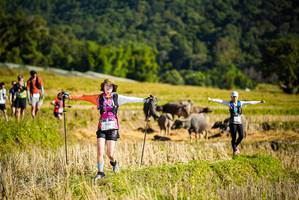 BIB: 1342
                            <button type="button" onclick="openModal(19128062)" class="btn btn-primary btn-sm float-right btn-popup" data-toggle="modal" data-target=".modal-high-quality">
                        <i class="fas fa-shopping-cart"></i> Add to Cart
                    </button>
                                            <button type="button" onclick="isThisMe(19128062, true)" class="btn btn-success btn-sm float-right btn-popup btn-isme hidden" data-toggle="tooltip" data-placement="bottom" title="นี่คือรูปของคุณใช่ไหม คลิกที่นี่เพื่อเอาเข้าอัลบั้ม">
                        <i class="fas fa-plus"></i> Add to album
                    </button>
                    <button type="button" onclick="isThisMe(19128062, false)" class="btn btn-warning btn-sm float-right btn-popup btn-isnotme hidden">
                        <i class="fas fa-ban"></i> Remove from album
                    </button>